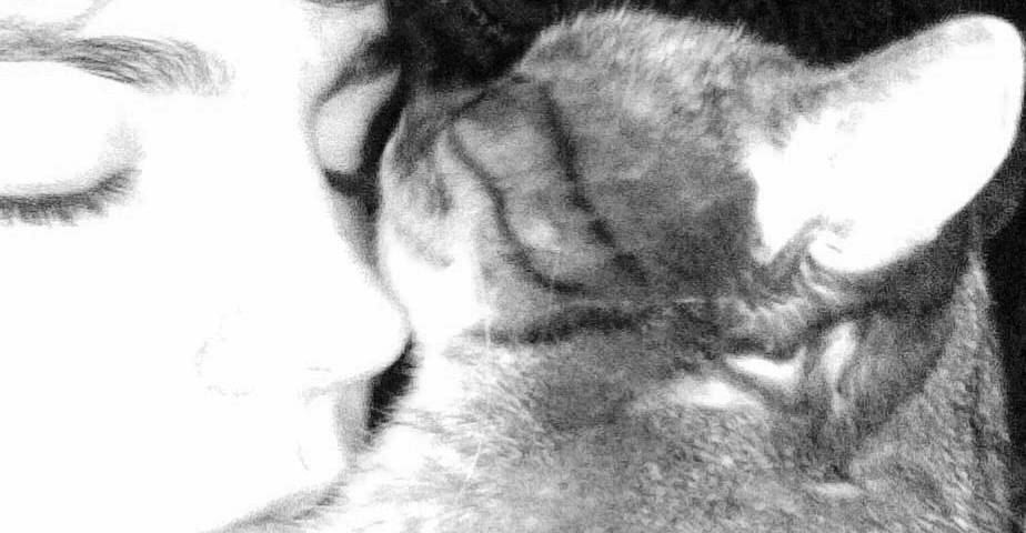 Анна Буликова | Вологда