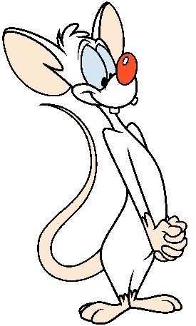 Максим Мячиков сын Сереги | Калининград