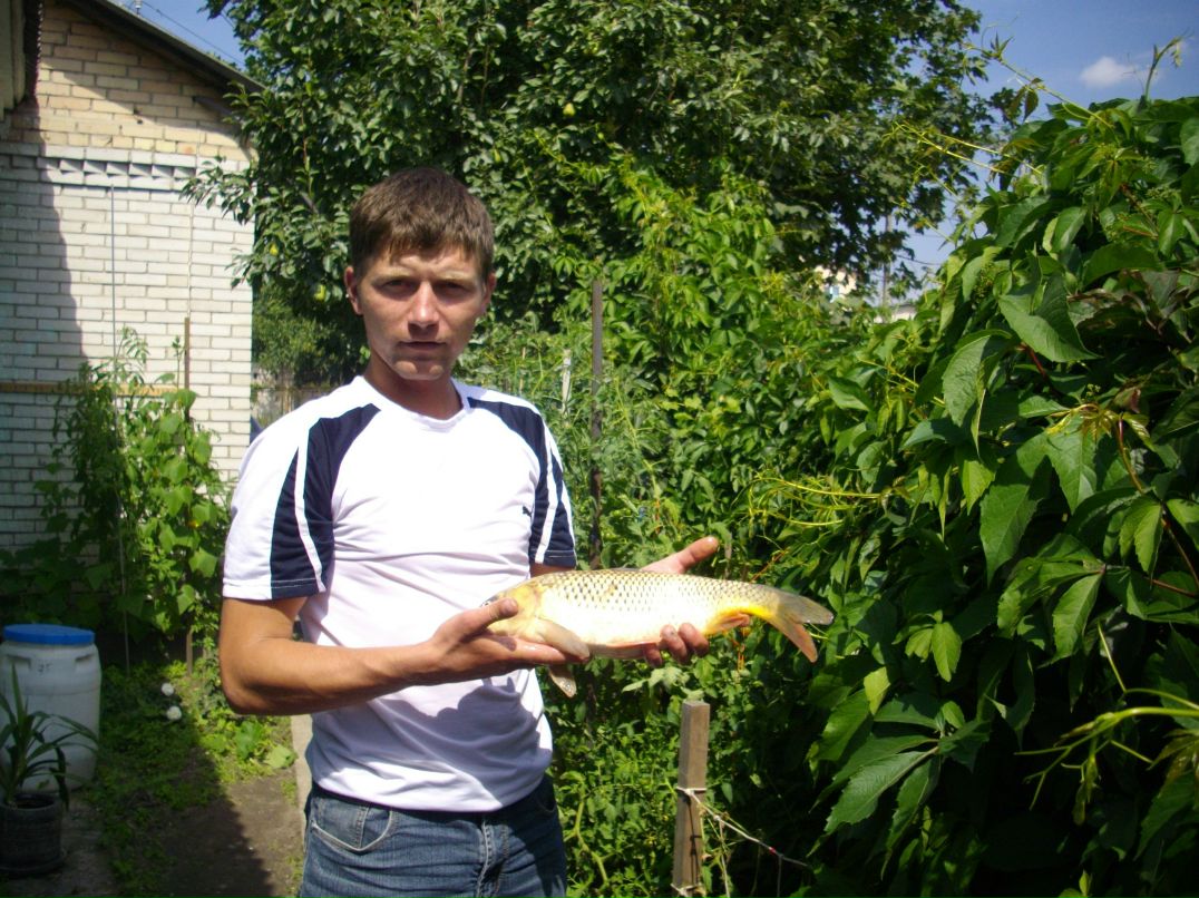 Александр Солоп | Коростень