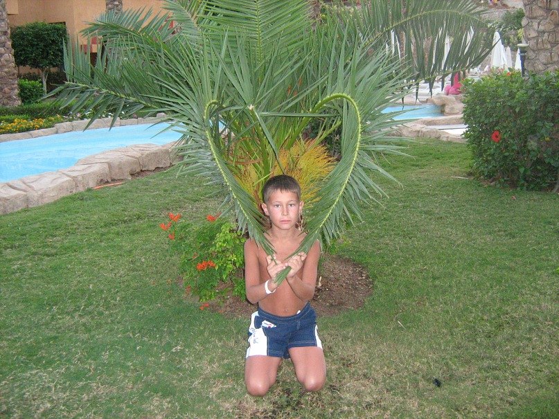 Адель Закиров Ринатович | Казань