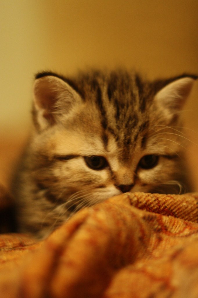 Таня Малынова | Новокуйбышевск