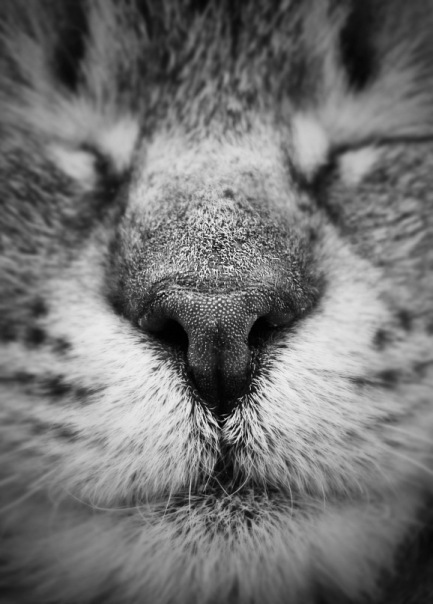 №19, Анастасия Игнатенко, Одинцово №19, Анастасия Игнатенко, Одинцово