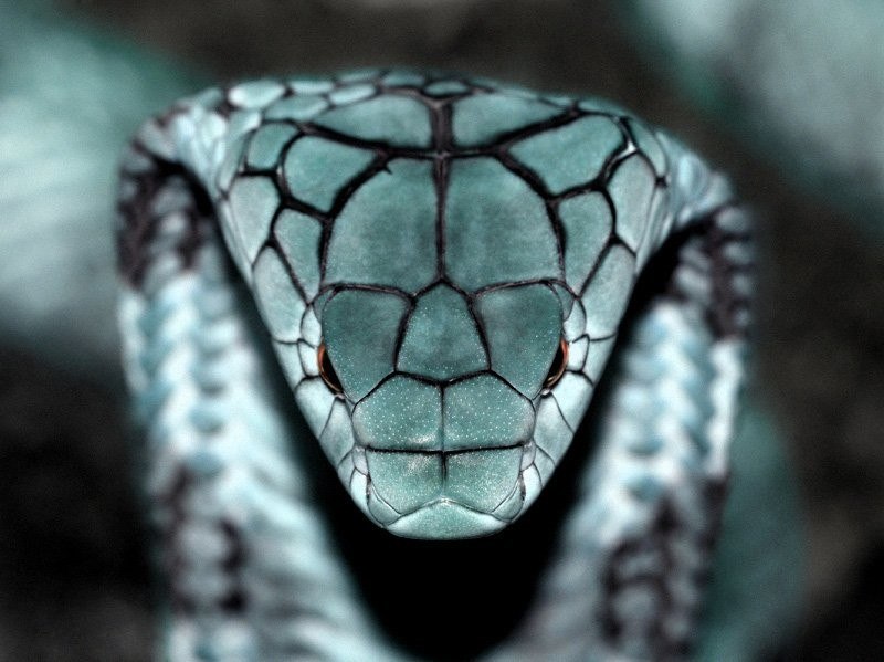 Anatoliy Kancher | Астана / Нур-Султан