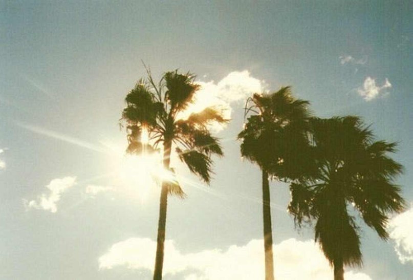 Даша Медведева | Москва