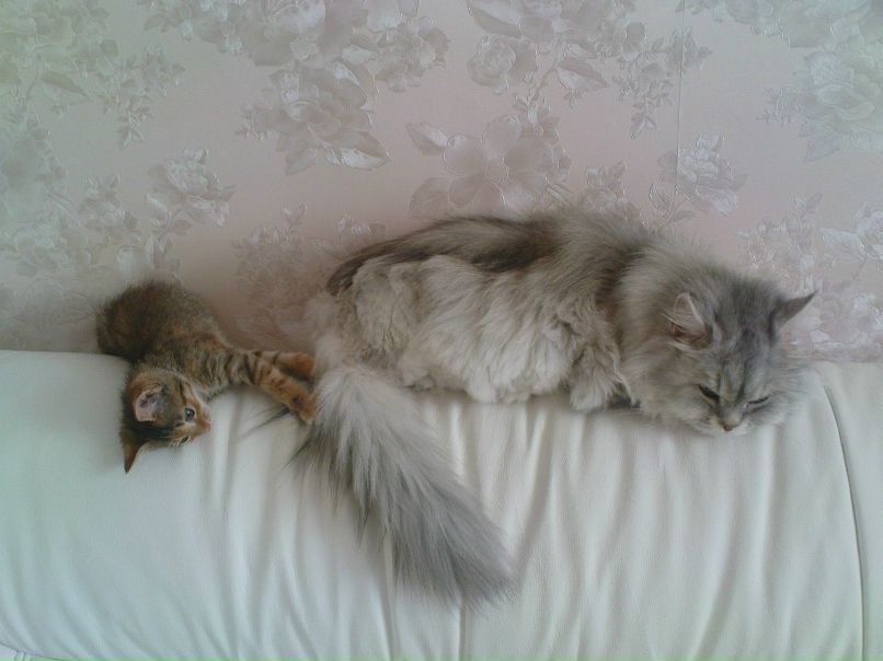 Ирина Романова | Москва