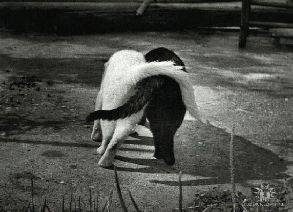 Юлия Еремеева | Санкт-Петербург