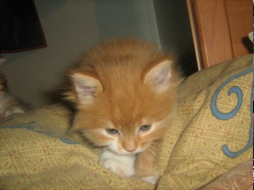 Vika Zalogina | Донецк