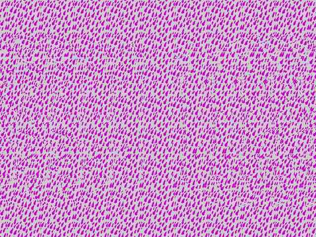 Паша Драгун | Нижний Новгород