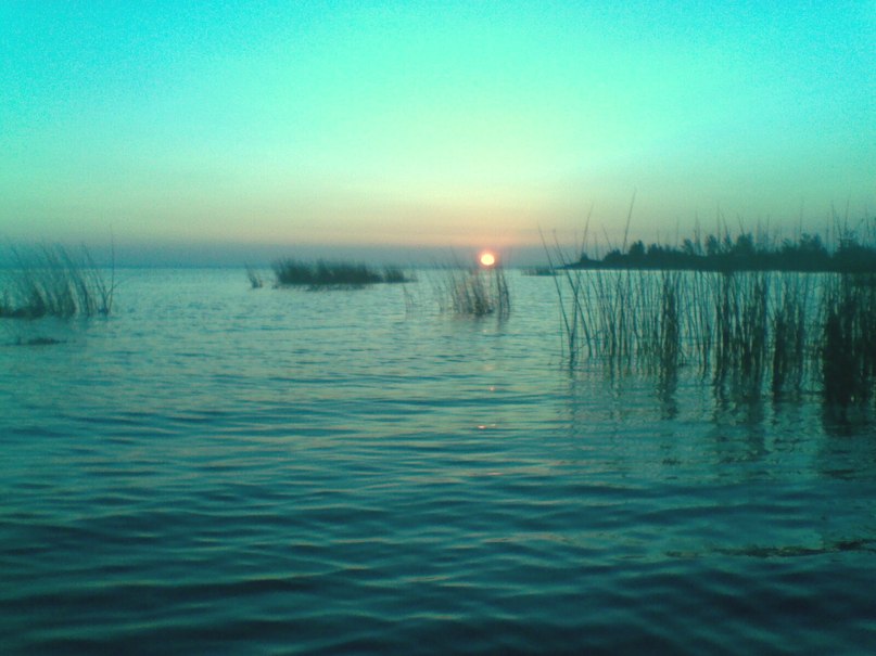 Сергей Френч | Санкт-Петербург