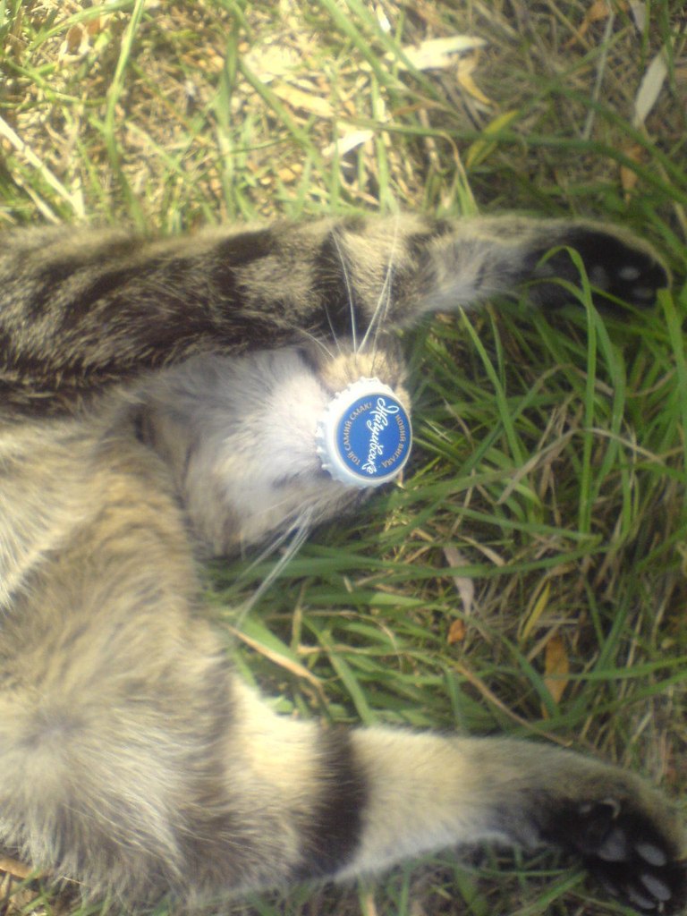 Регина Рыбалка | Горловка