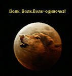 Амир Дзауров | Назрань