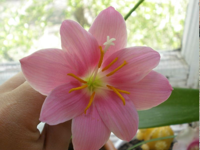 Наиля Фазуллина | Астана / Нур-Султан