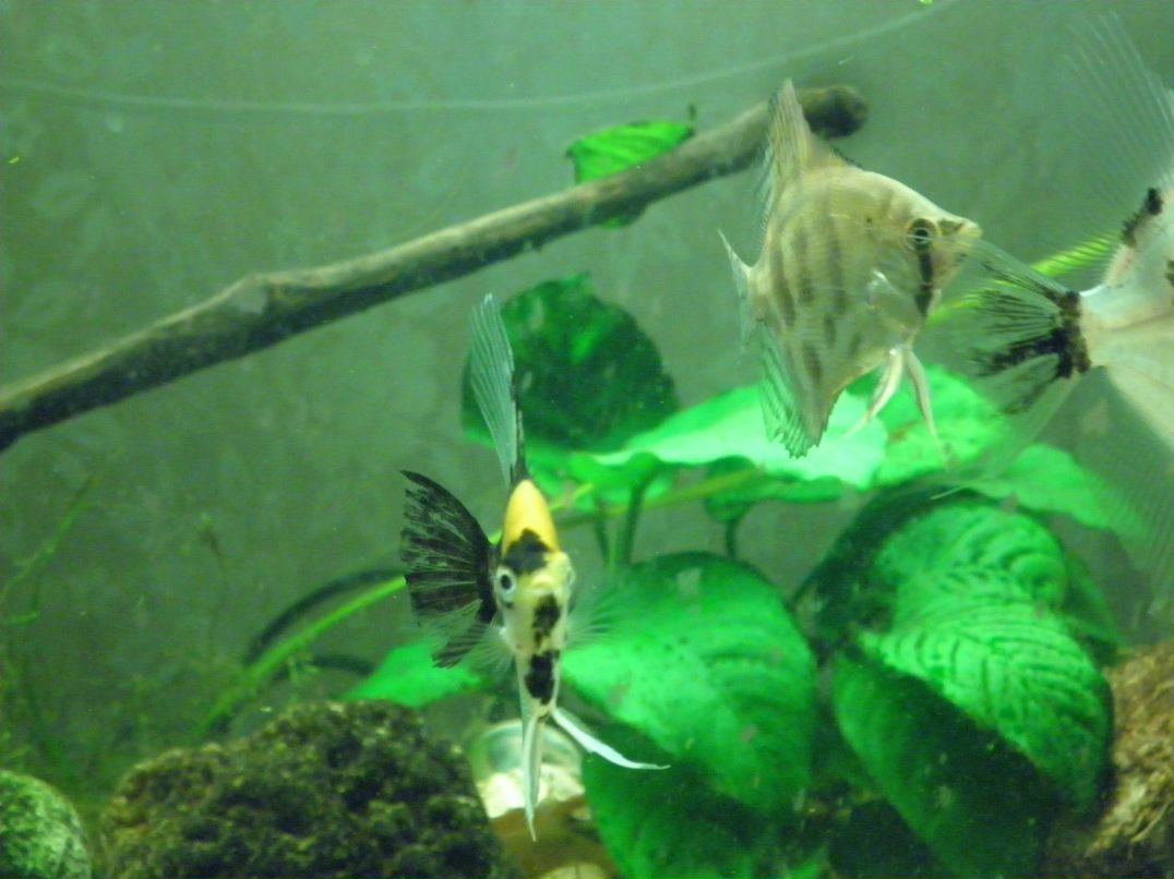 Катерина Толкачева | Москва