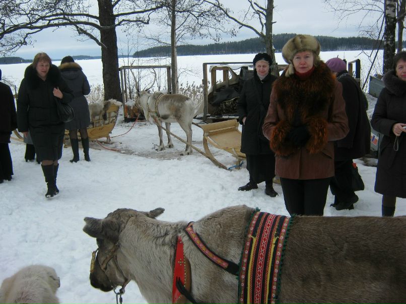 Елена Каплунова | Санкт-Петербург