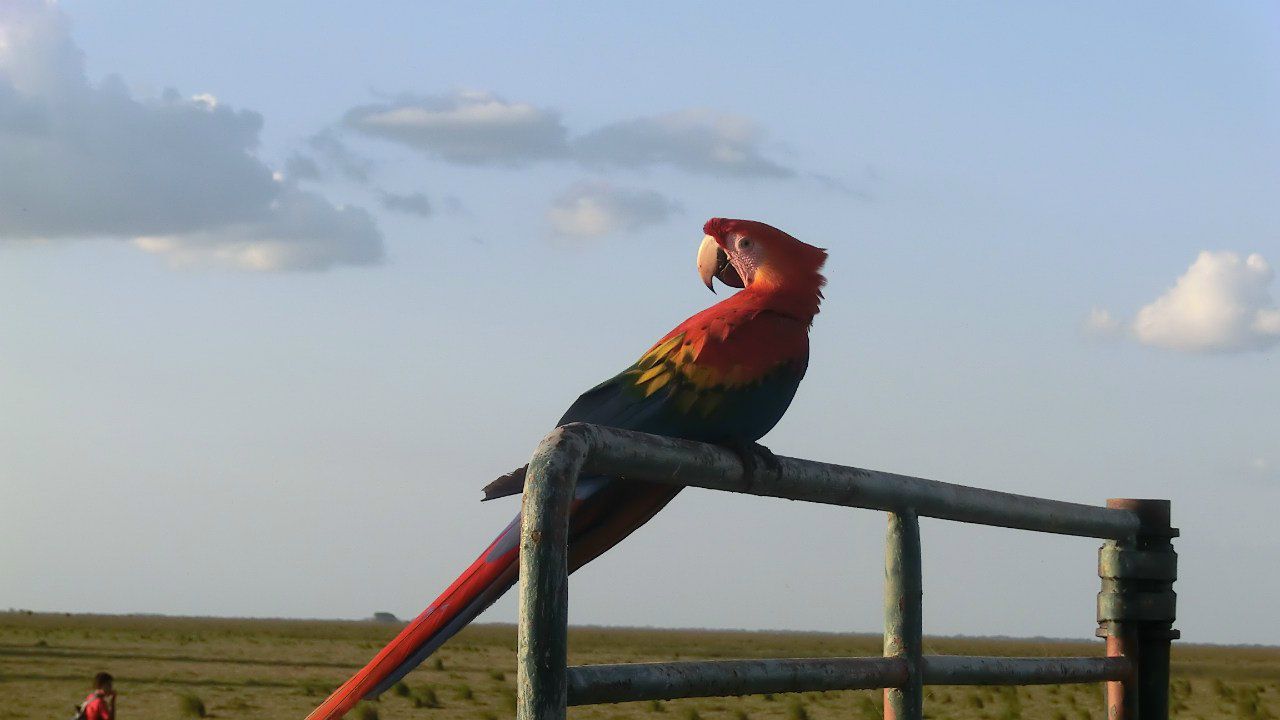 Виктория Иоаннидис | Москва