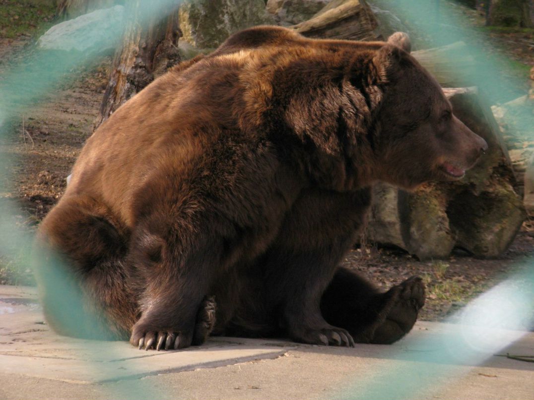 Олег Агапов | Москва