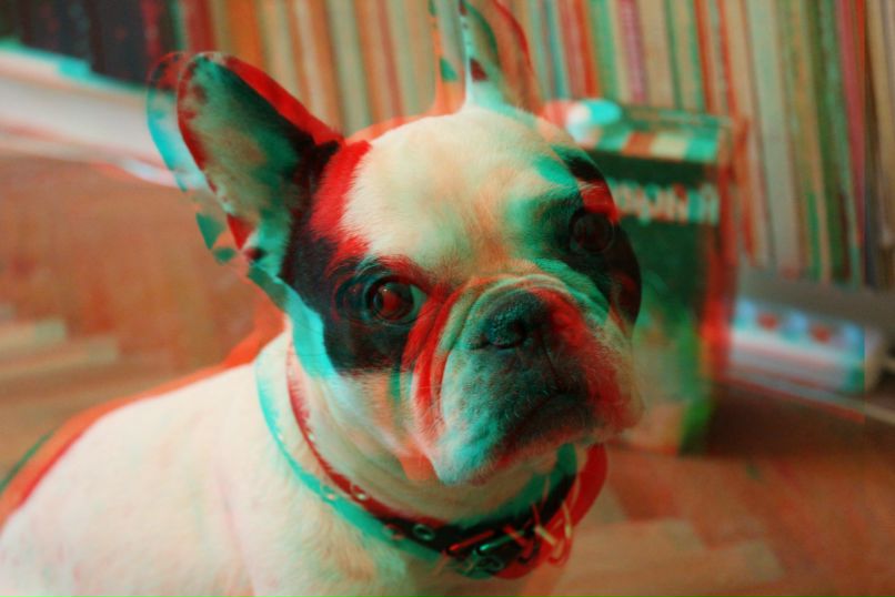 Никита Брага | Санкт-Петербург