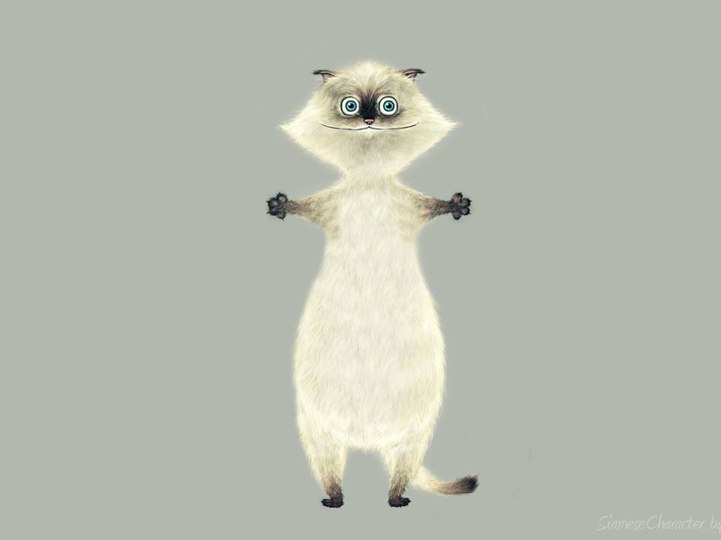 Дмитрий Скорук | Киев