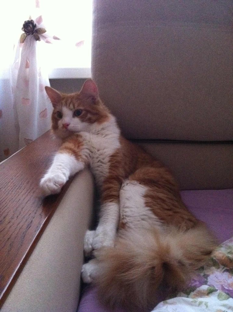 Александра Маркина | Москва