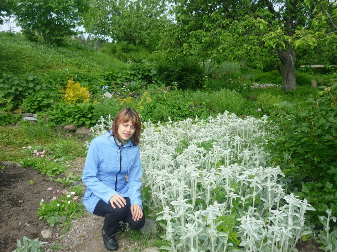 Наталья Достовалова | 