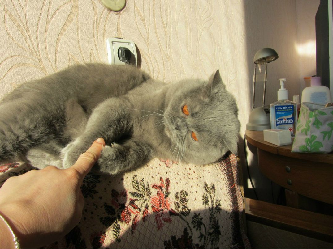 Надежда Соколова | Санкт-Петербург