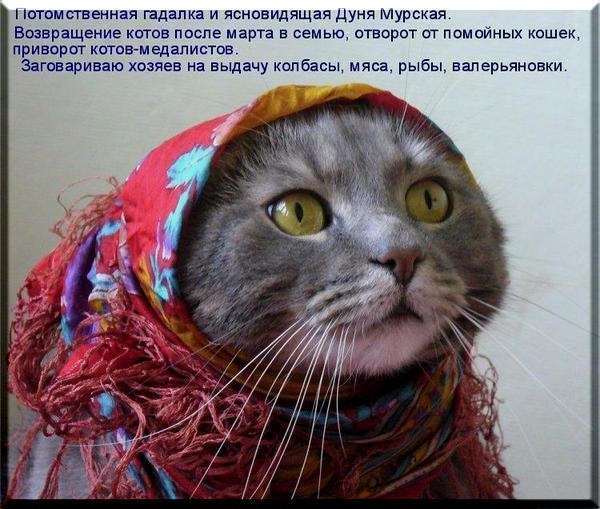 №16, Марина Дикий №16, Марина Дикий