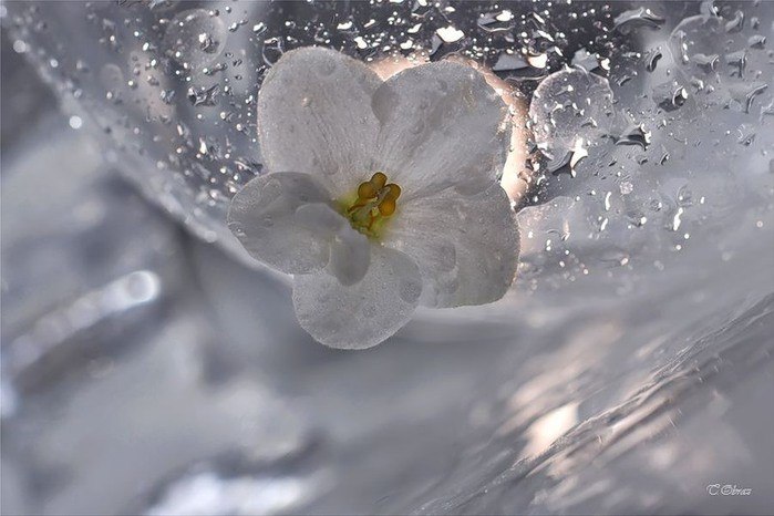Ольга Огородова | Санкт-Петербург