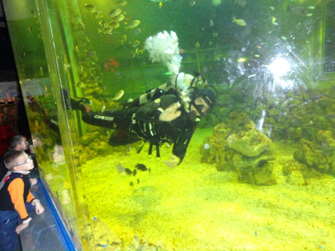 Zurab Richy | Чита