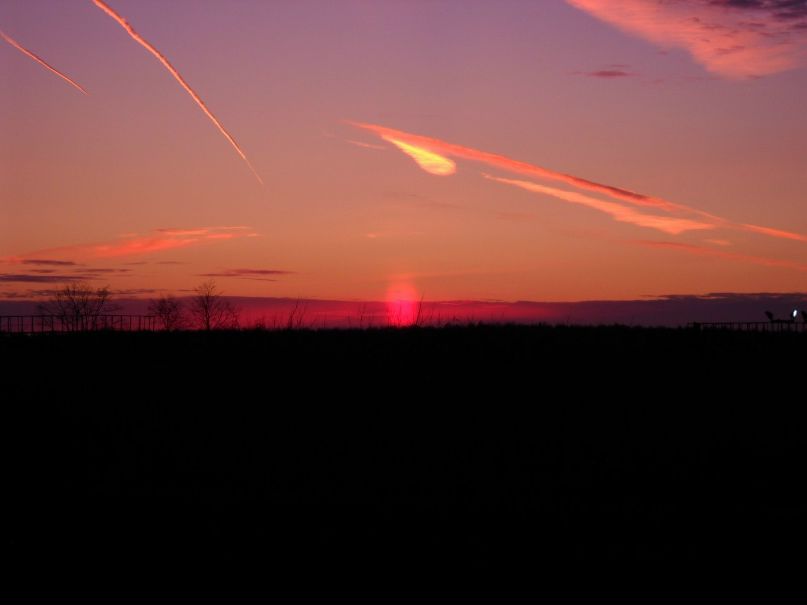 Nalja Platonova *~.bell.~* | Липецк