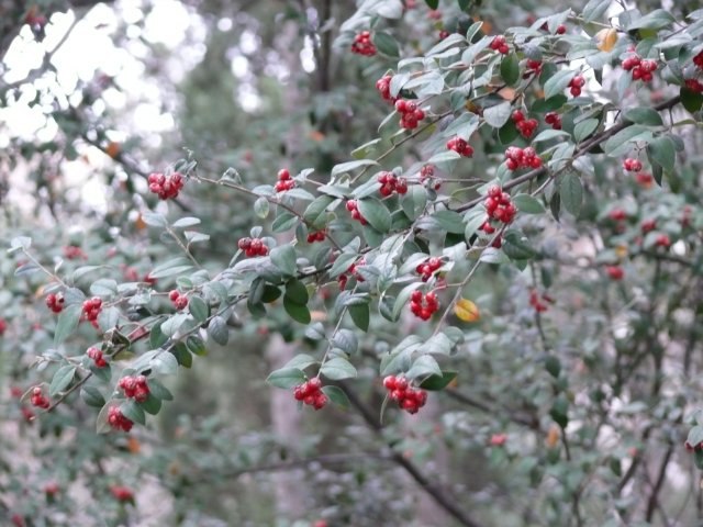 Виталий Фантиковски Fantikovsky (3ABAPKA) ________________________________________________________ | Полтава