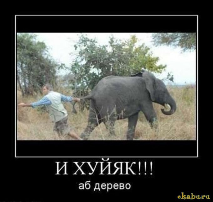 Александр Резаков | 