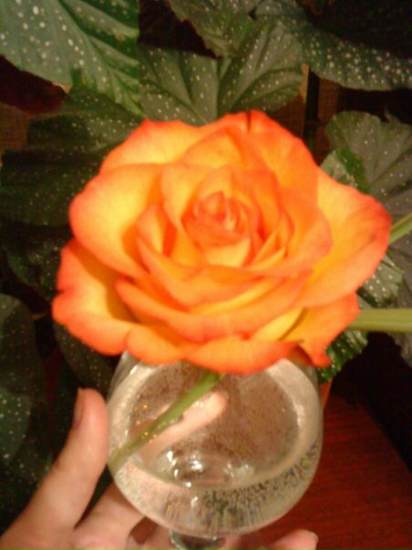 №105, Наталия Ванглер, Пермь №105, Наталия Ванглер, Пермь