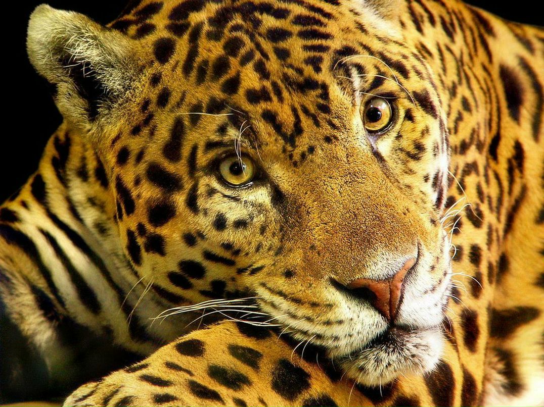 Татьяна Тимофеева | Казань