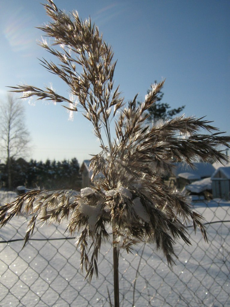 Николай Рыбка | Санкт-Петербург