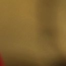 №17, Дашунчик Лаврова №17, Дашунчик Лаврова