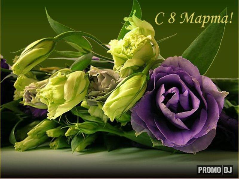 Елизавета Багина | Тюмень