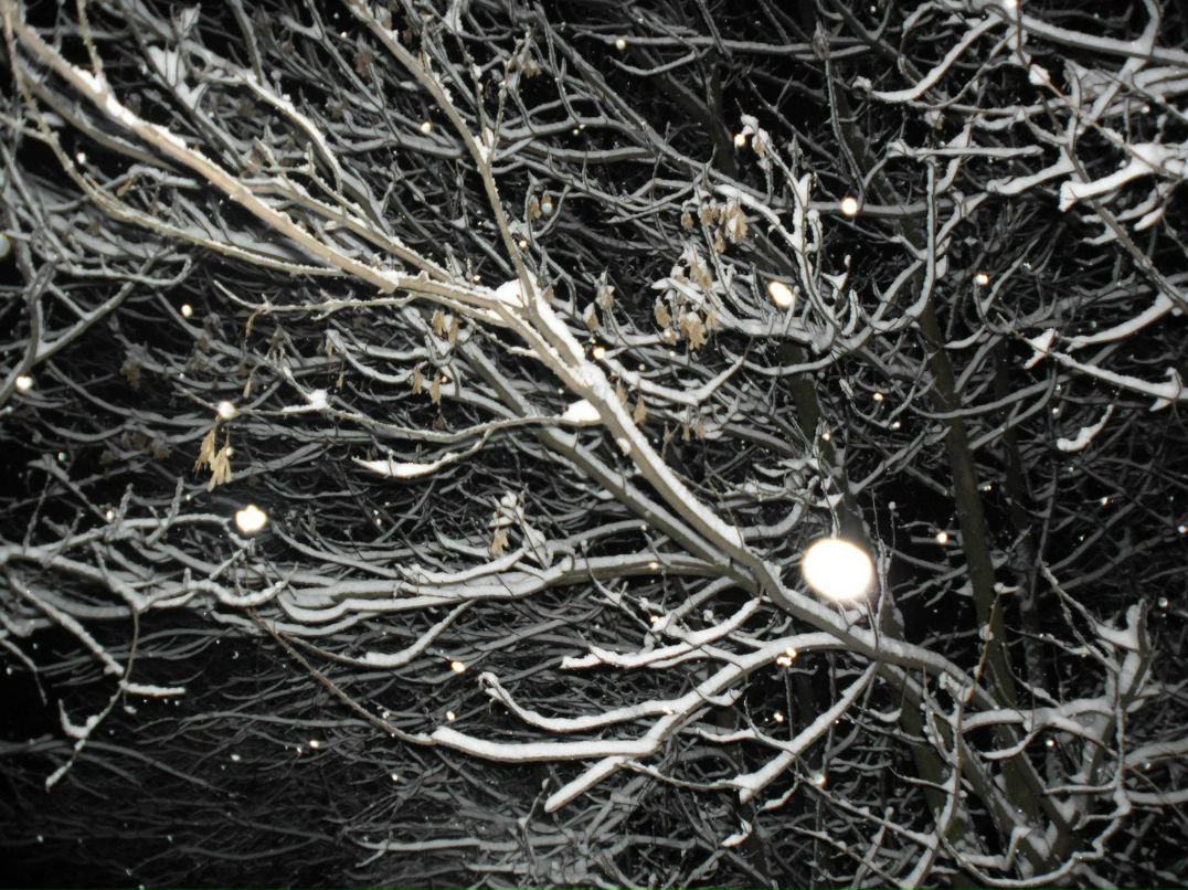 Михаил Глазов | Подольск