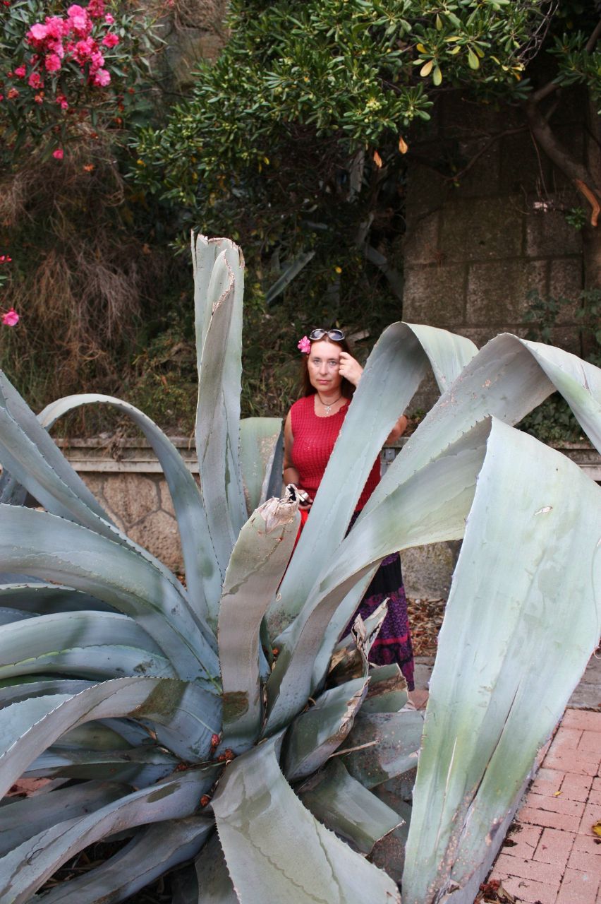 Долорес Фуртай | Санкт-Петербург