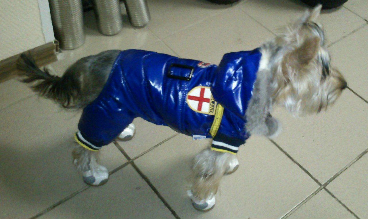 Алёна Михайлова | Пермь