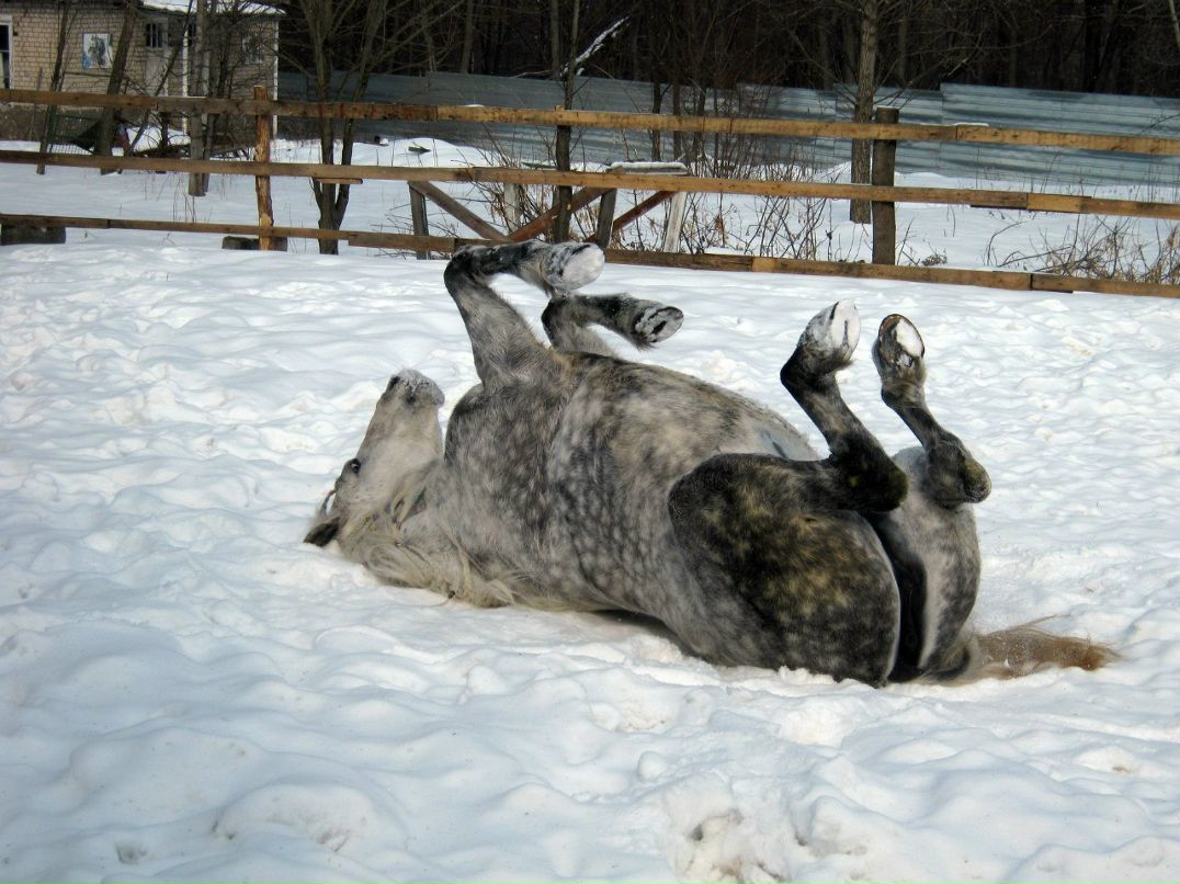 Lena Hotina | Харьков