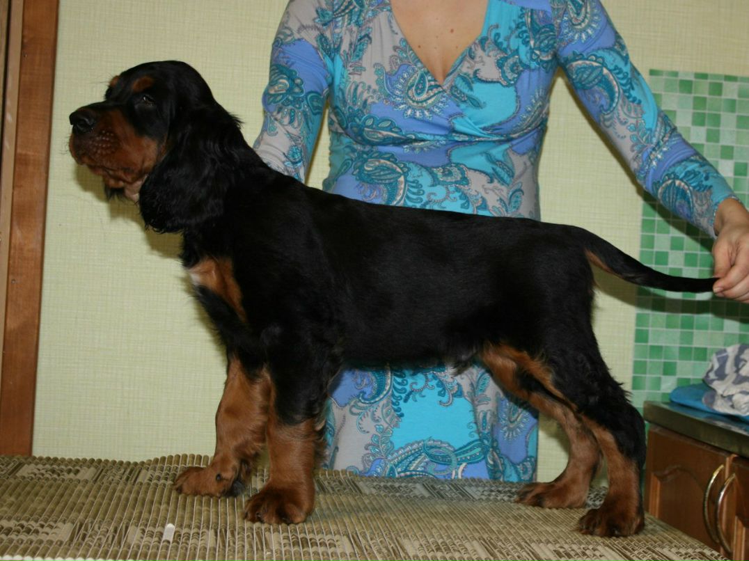 Екатерина Шалыгина | Санкт-Петербург