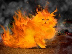 Руслан Хузияхмитов | 