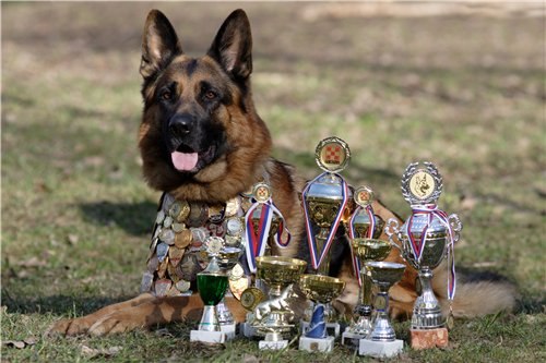 №47, Паха Радкевич, 27 лет, Минск №47, Паха Радкевич, 27 лет, Минск