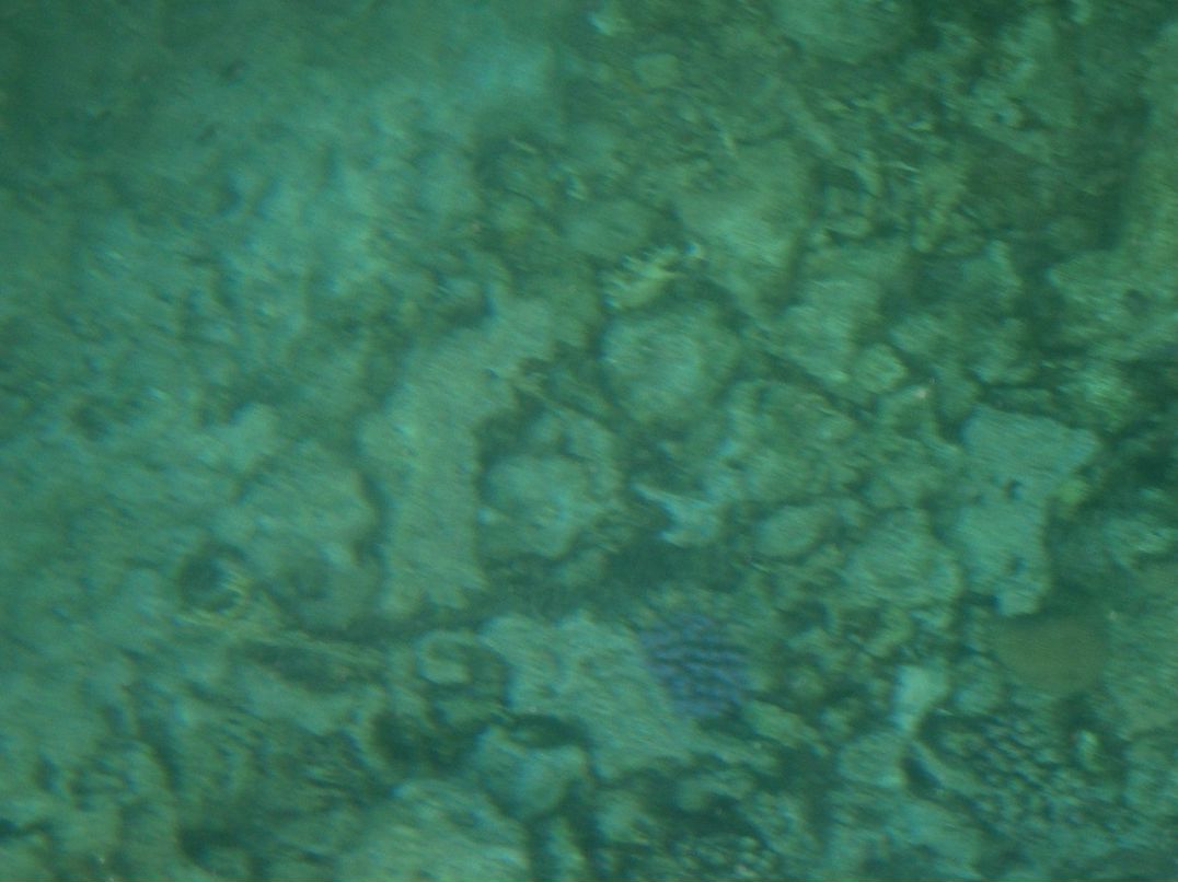 Елена Леонович | Самара