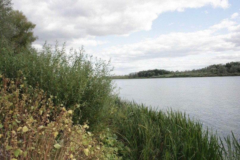 Маргарита Иванова | Москва