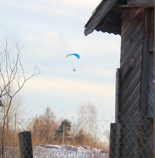 Алексей Ларионов | 
