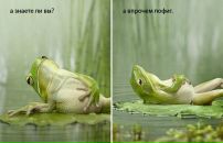 №26 Министр Энергетики 03.04: профиль, фото, статус - ВКонтакте №26 Министр Энергетики 03.04: профиль, фото, статус - ВКонтакте