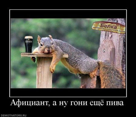 №68, Юрий Чернявский, 40 лет №68, Юрий Чернявский, 40 лет