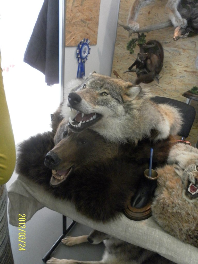 Артем Смирнов | Санкт-Петербург