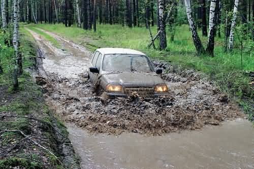 Сахавет Дамиров | Баку